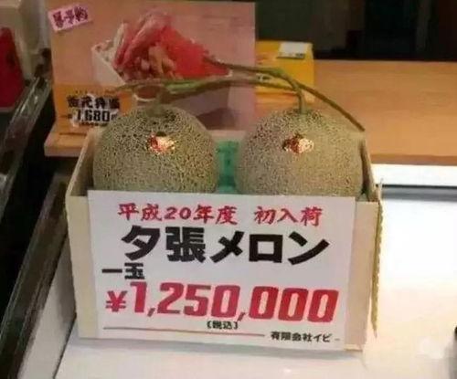 吃瓜娱乐圈纯净水,揭秘“吃瓜”与“纯净水”背后的故事