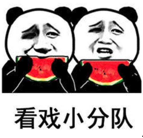 吃瓜娱乐小狗表情包,萌态百出，笑料横生