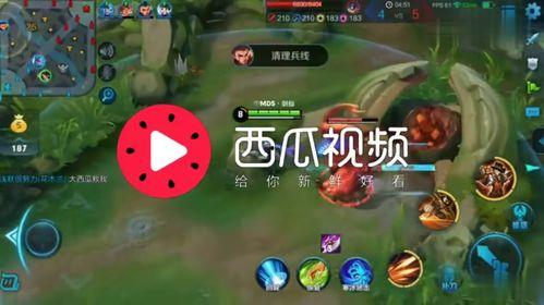 吃瓜娱乐背景音乐,揭秘热门娱乐背景音乐背后的故事